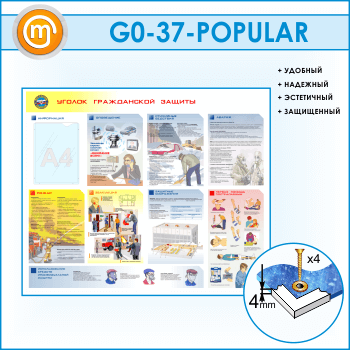 ����� ������� ����������� ������� � �������� (GO-37-POPULAR)