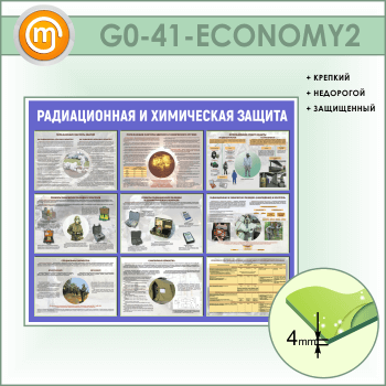 ����� ������������� � ���������� ������ (GO-41-ECONOMY2)