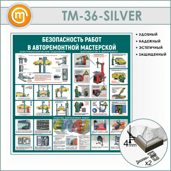 ����� ������������� ����� � ������������� ���������� (TM-36-SILVER)