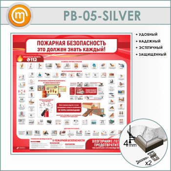 ����� ��������� ������������. ��� ������ ����� ������ (PB-05-SILVER)