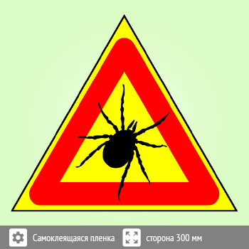 ���� ������, B98 (������, ������� 200 ��)