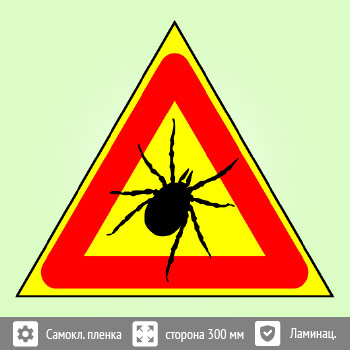 ���� ������, B98 (������ c ��������������, ������� 200 ��)