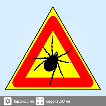 ���� ������, B98 (�������, ������� 300 ��)